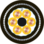 D63